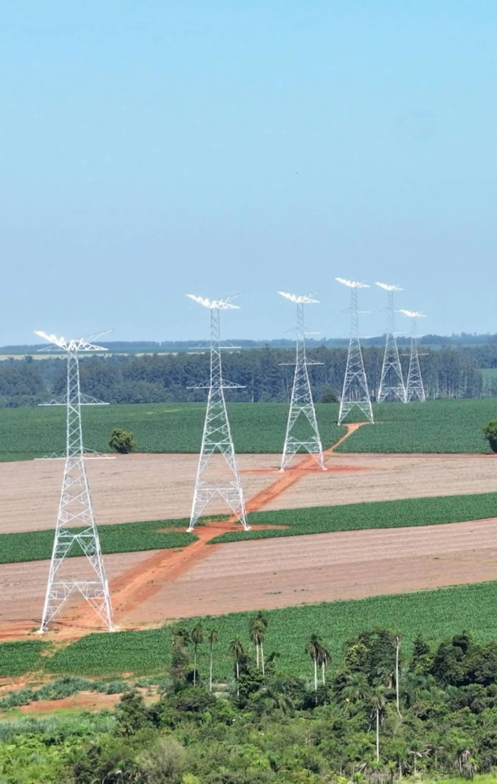 Torres verticales sobre cultivo